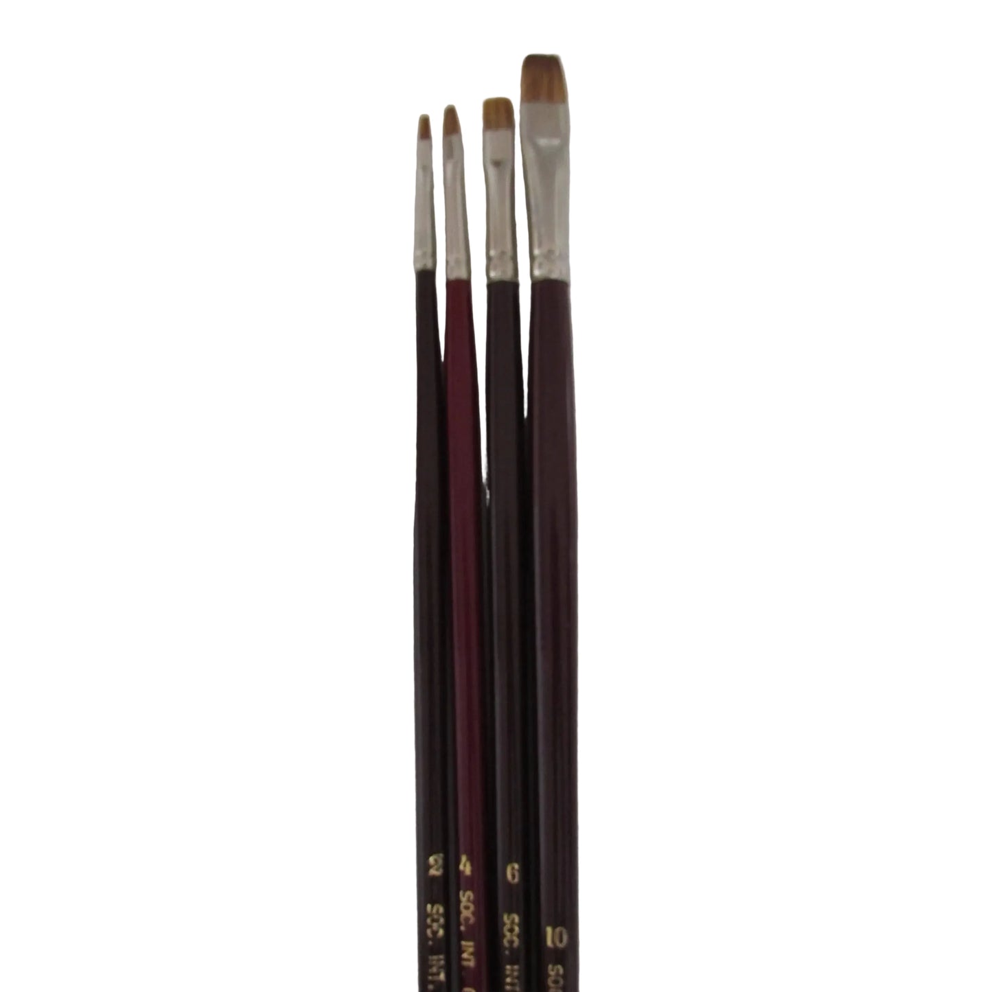 Set of paint brushes with bristle heads and wooden handles on a white background