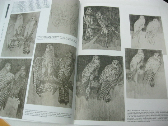 Collection Leonardo Vinciana Editions Les Animaux De M.Meheut #38