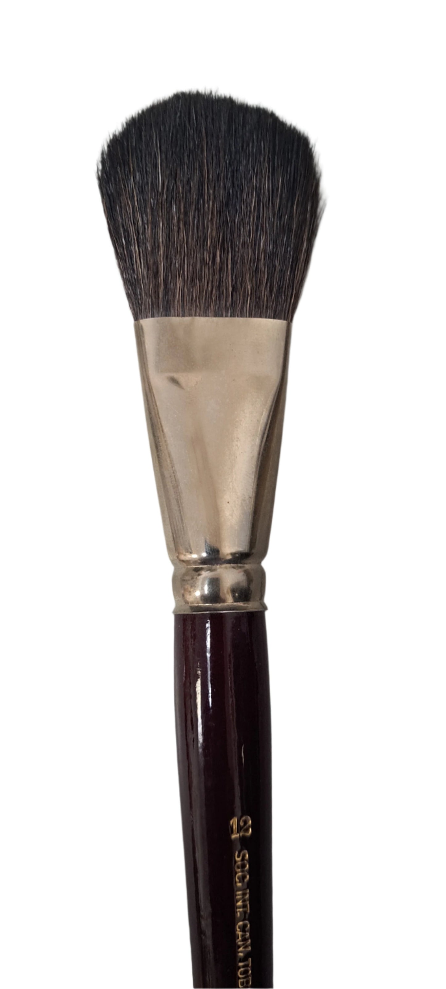 Large Artist watercolour Mop brush oval shape fine soft hair mixture # 12