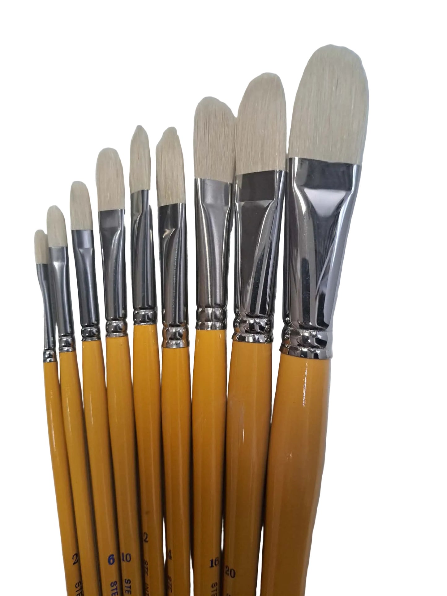 Artist Quality White Bristle Filbert shape paint brushes Oil & Acrylic