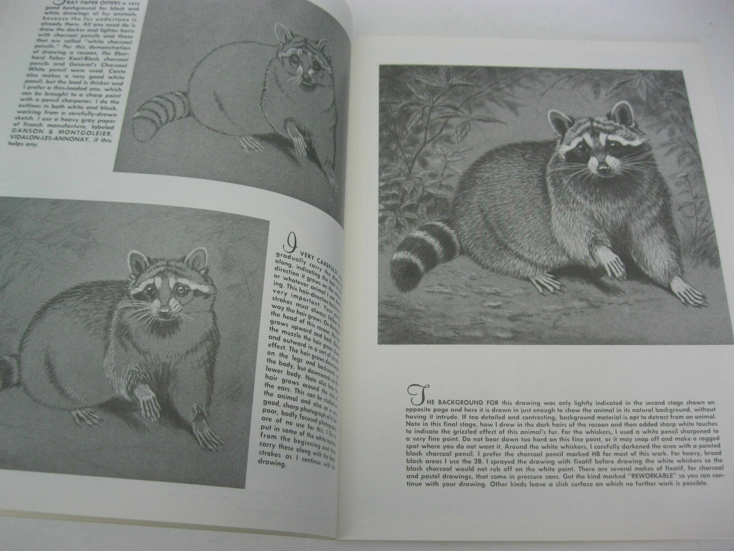 Walter Foster comment dessiner et peindre - Textures animales #90 Par Walter J. Wilwerding  -version anglaise