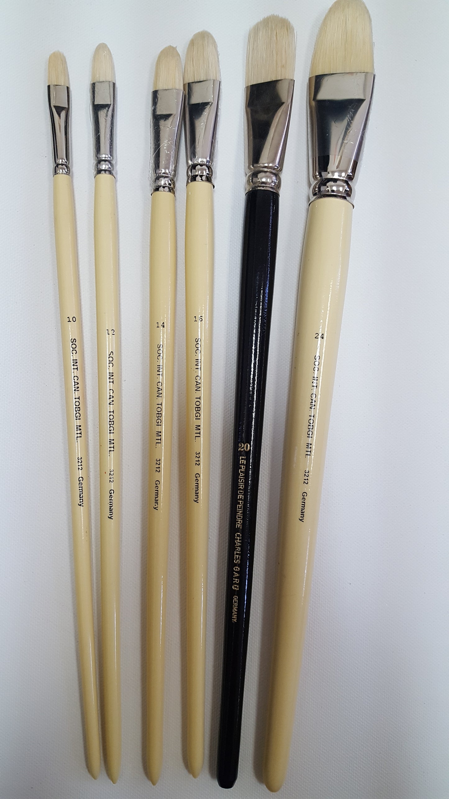 Tobgi Premium Artist Quality Chungking White Bristle Hair Filbert shape For Acrylic and Oil Long handle